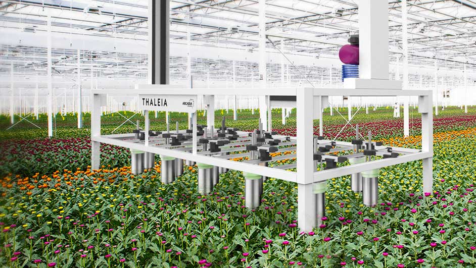 Innovatie in de tuinbouw: Project Thaleia